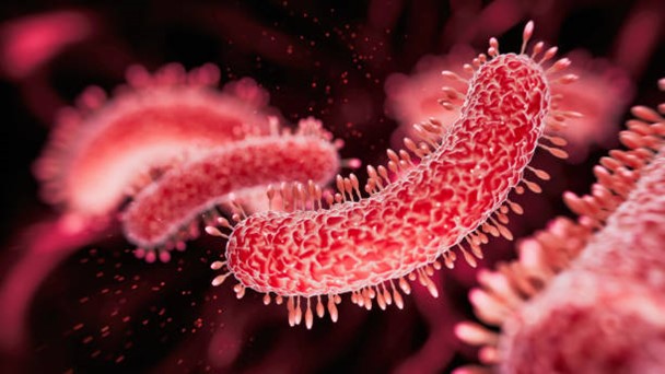 sepsis illustration