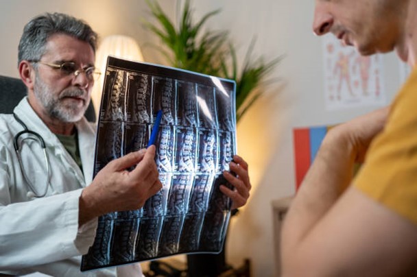 spinal cord